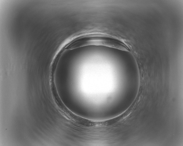 X0000054440056200508051909