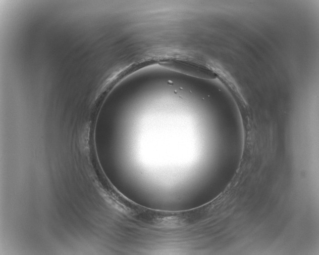 X0000054440058200508051909