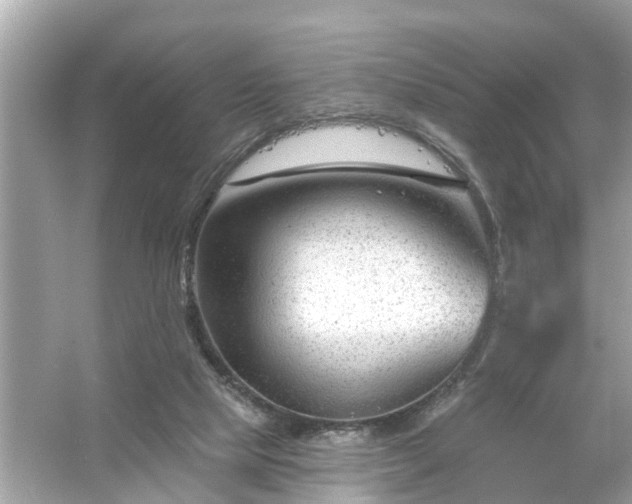 X0000054440065200508051909