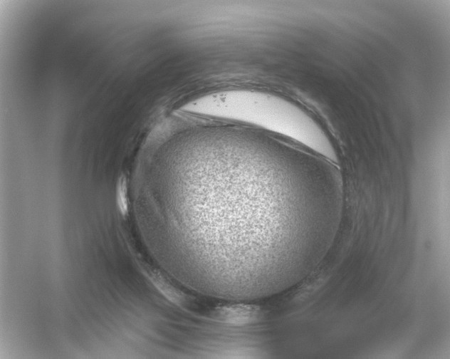 X0000054440069200508051909