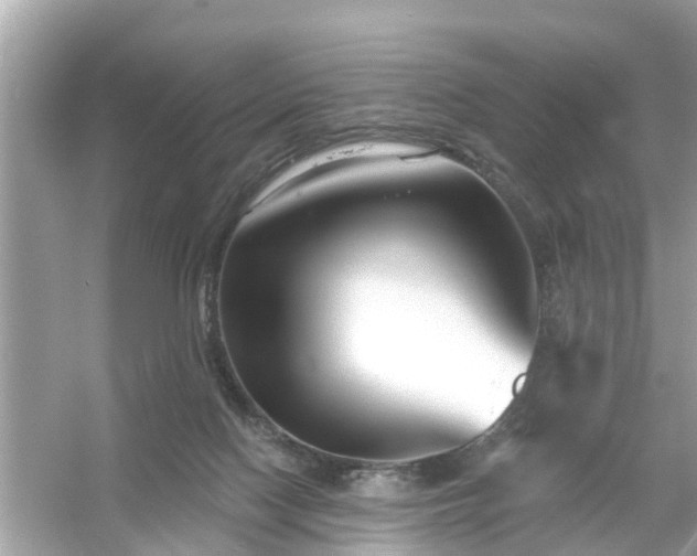 X0000054440074200508051910