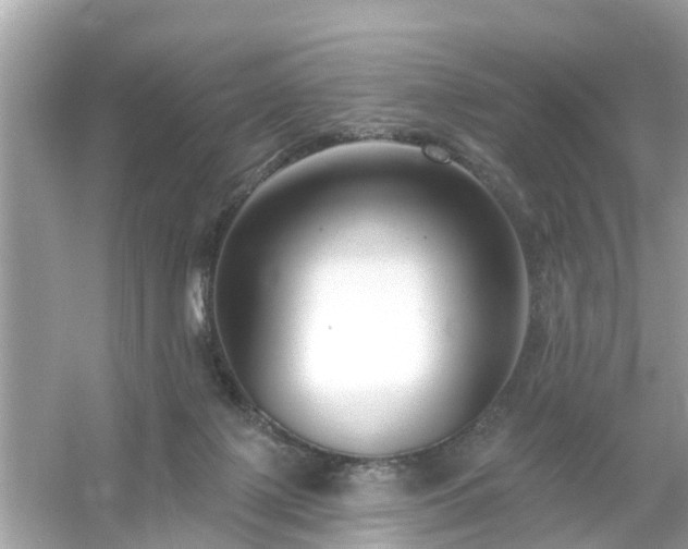 X0000054440075200508051910