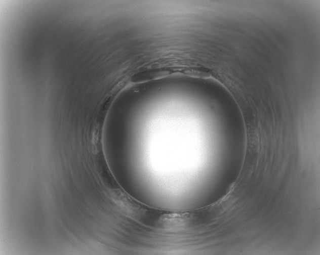 X0000054440082200508051910