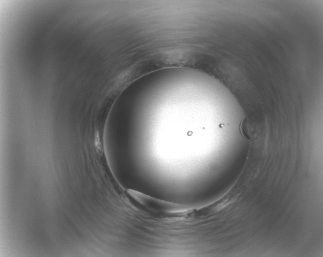 X0000054440089200508051910