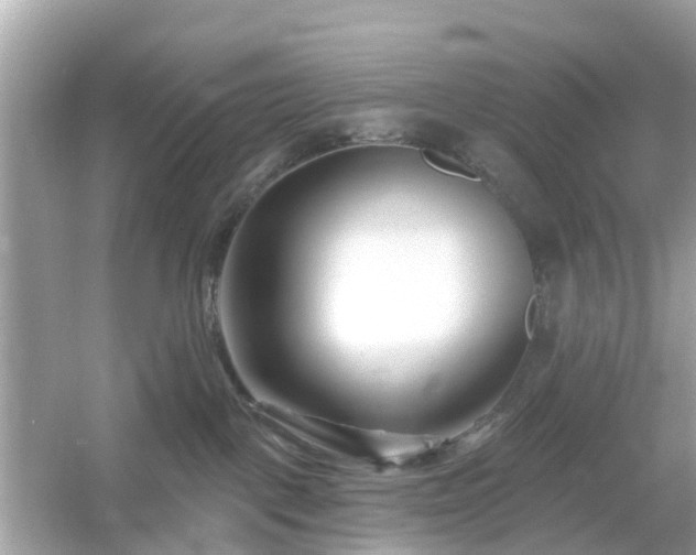 X0000054440093200508051910