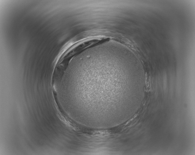 X0000054440099200508051909