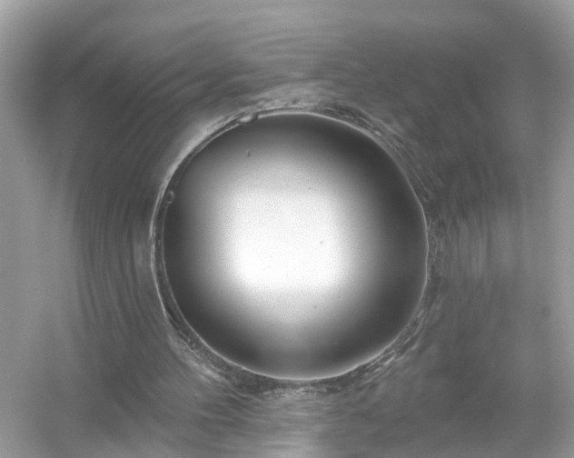 X0000054440100200508051909