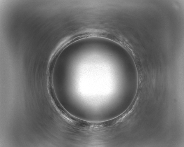 X0000054440101200508051909