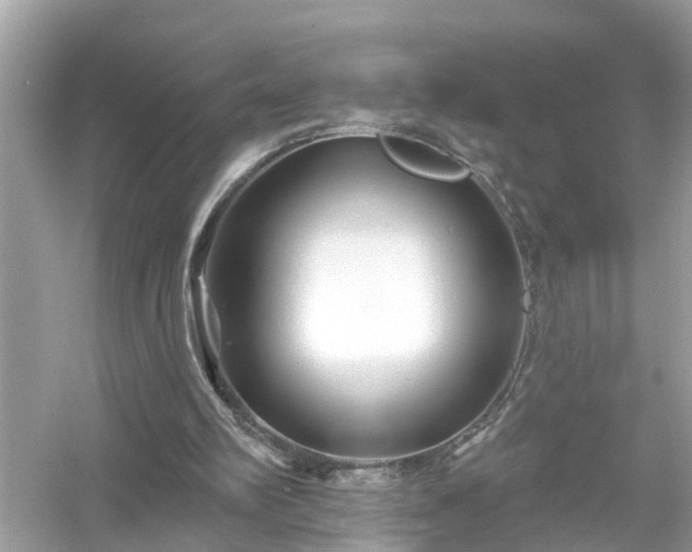 X0000054440102200508051909