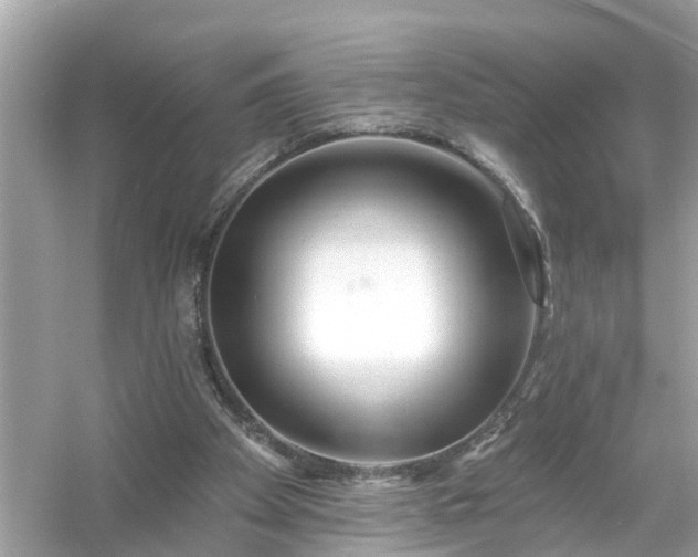 X0000054440105200508051909