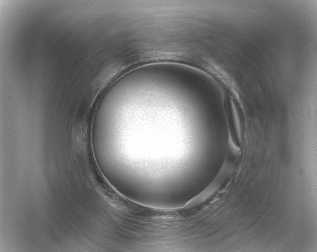 X0000054440107200508051909