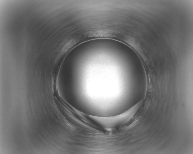 X0000054440109200508051909