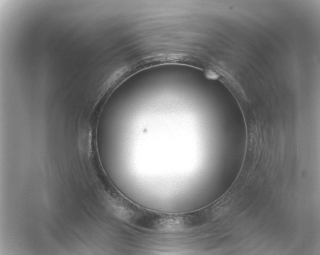 X0000054440110200508051909