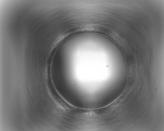 X0000054440112200508051909