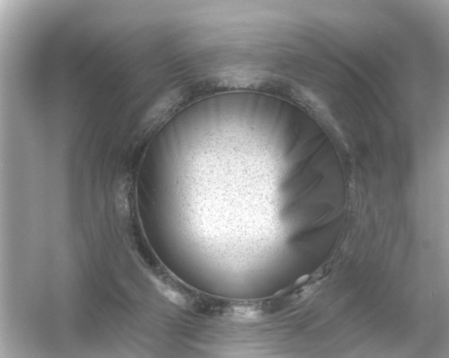 X0000054440114200508051909