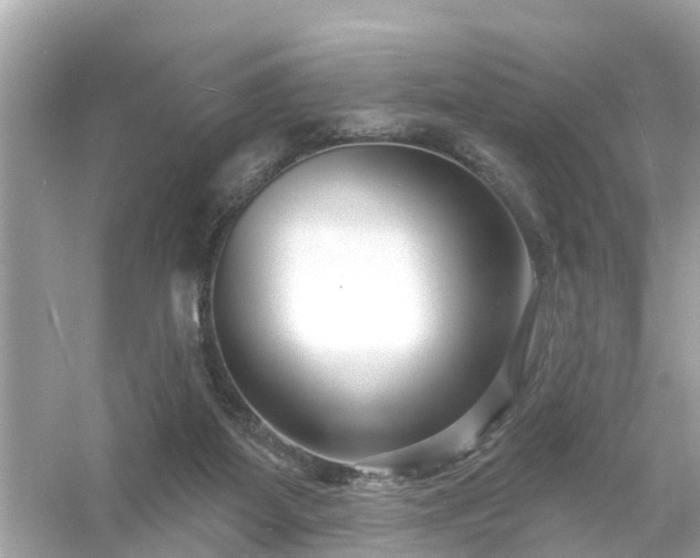 X0000054440115200508051909