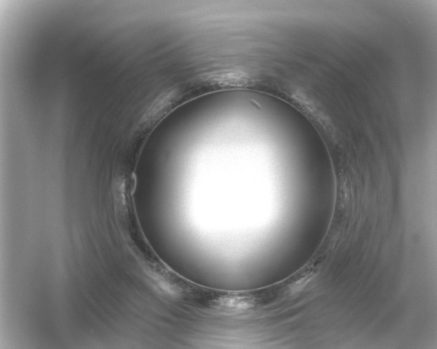 X0000054440117200508051909