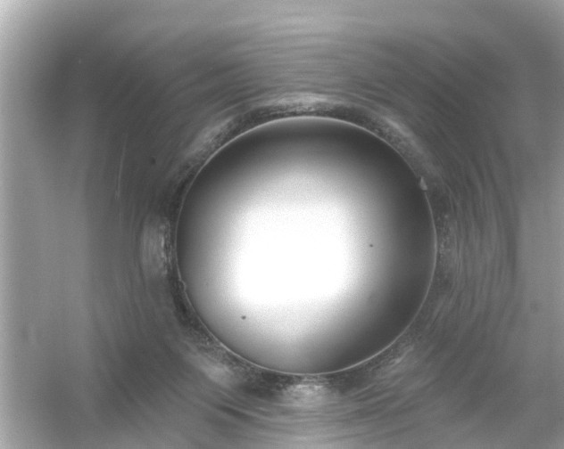 X0000054440119200508051909