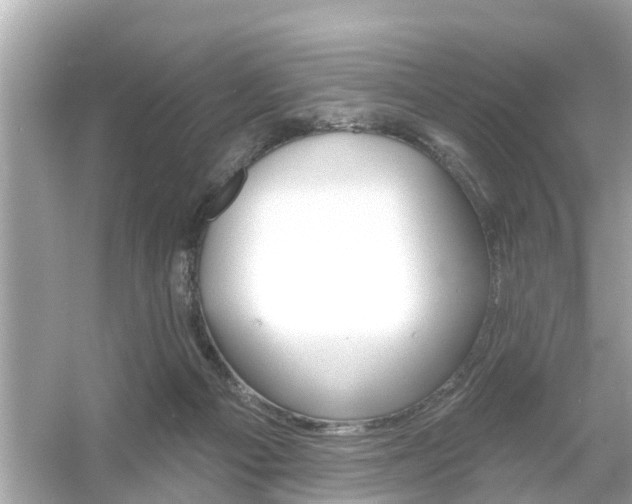 X0000054440121200508051909