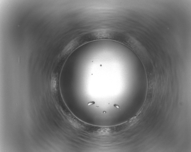 X0000054440124200508051909