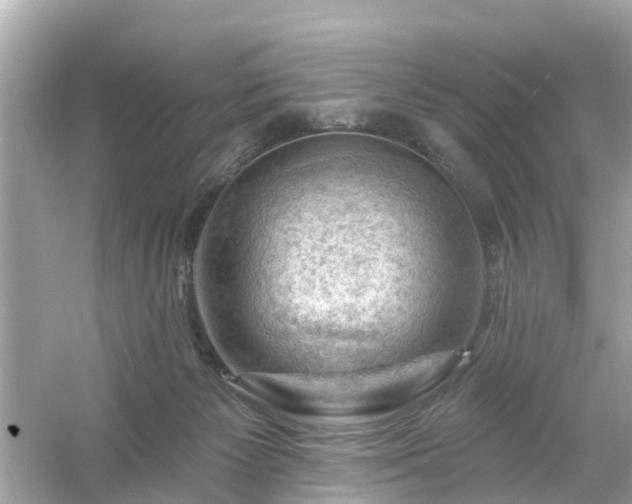 X0000054440125200508051909