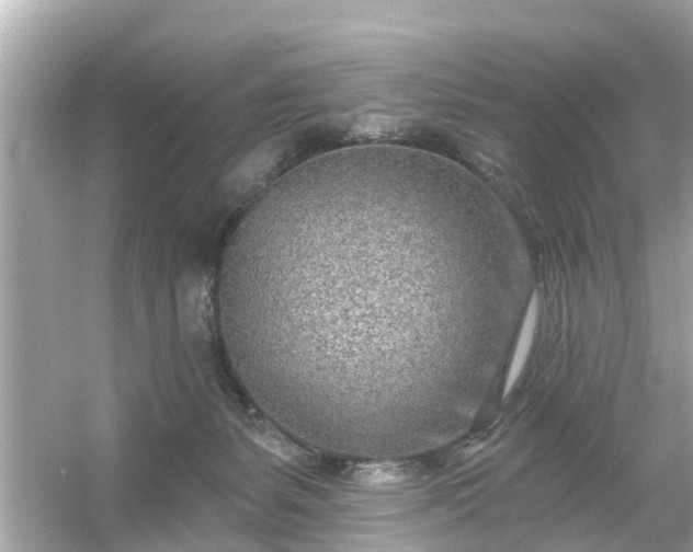 X0000054440127200508051909