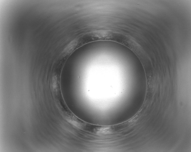 X0000054440132200508051909