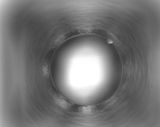 X0000054440134200508051909