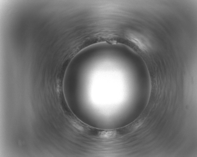 X0000054440135200508051908