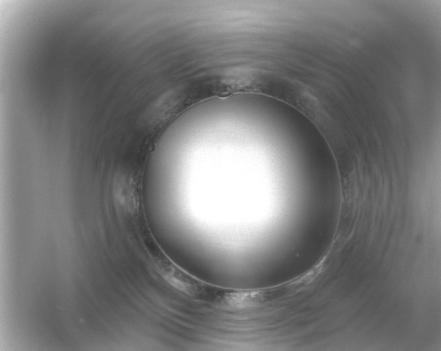 X0000054440136200508051908