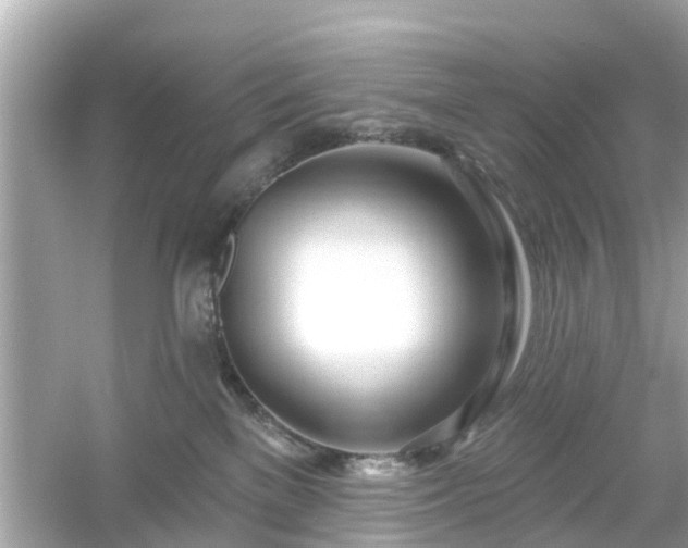 X0000054440137200508051908