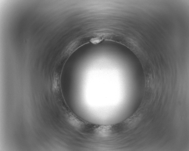 X0000054440138200508051908