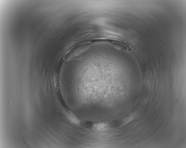 X0000054440139200508051908