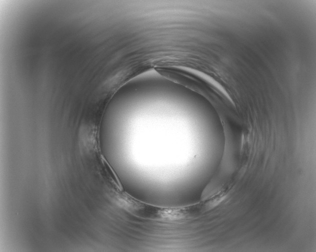 X0000054440141200508051908