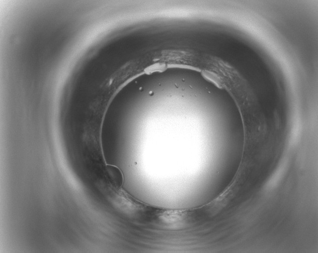 X0000054440142200508051908