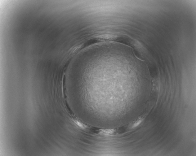 X0000054440143200508051908