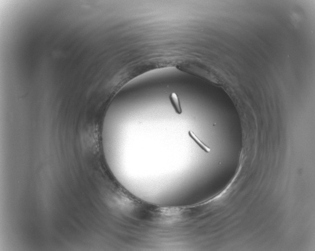 X0000054440144200508051908