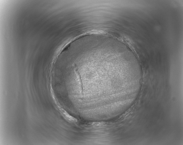 X0000054440145200508051908