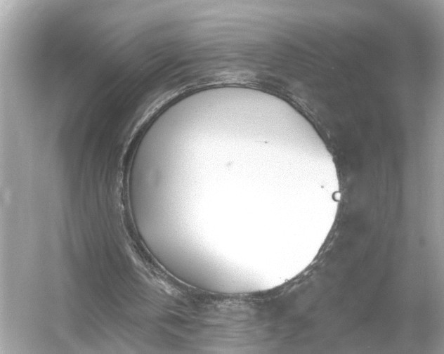 X0000054440146200508051908