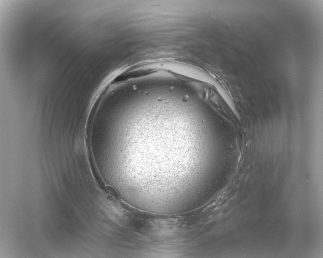 X0000054440147200508051908