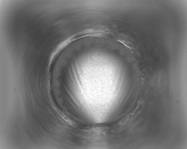 X0000054440149200508051908