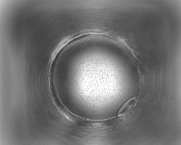 X0000054440151200508051908