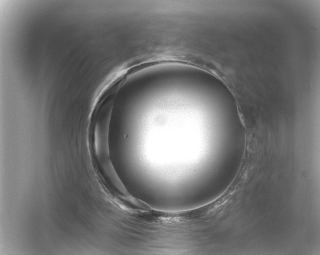 X0000054440152200508051908