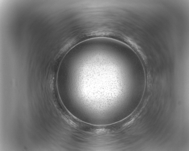 X0000054440153200508051908