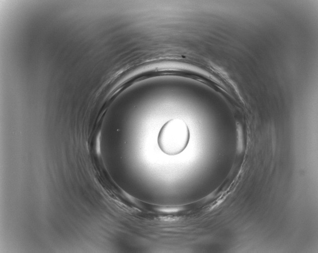 X0000054440154200508051908