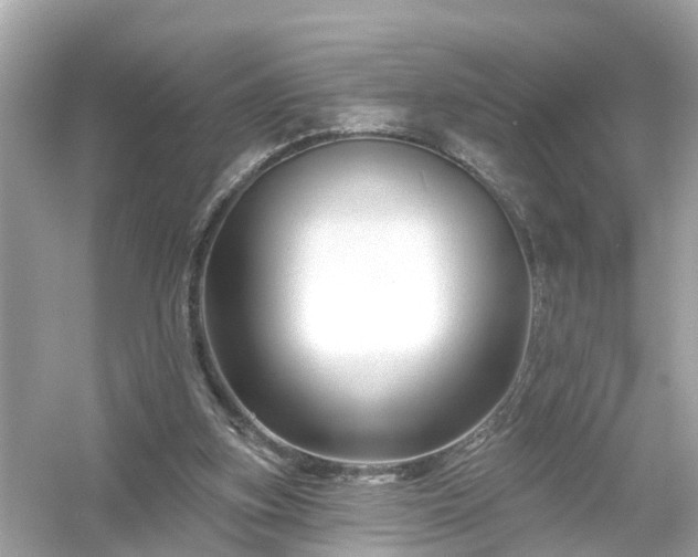 X0000054440155200508051908