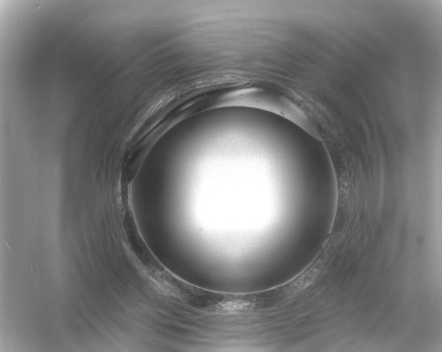 X0000054440158200508051908