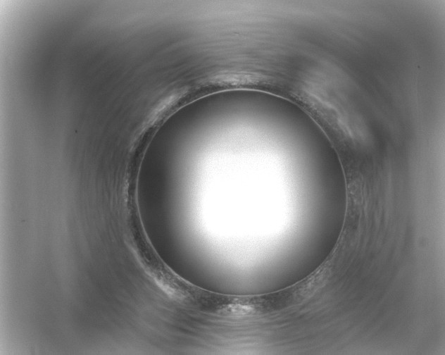 X0000054440159200508051908