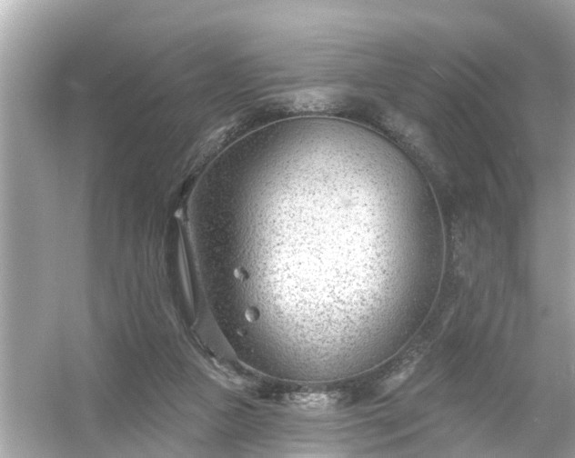 X0000054440161200508051908