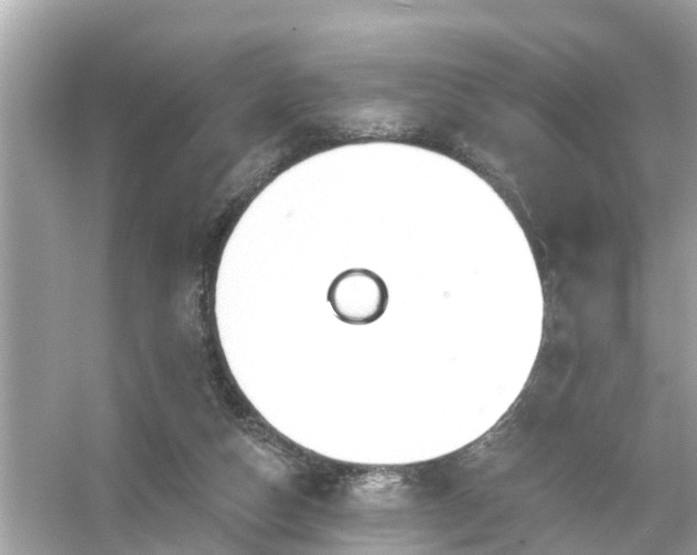 X0000054440162200508051908